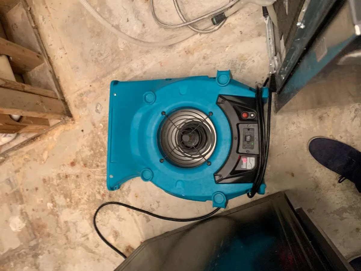 Air mover drying equipment for Mold Remediation & Removal in Northport
