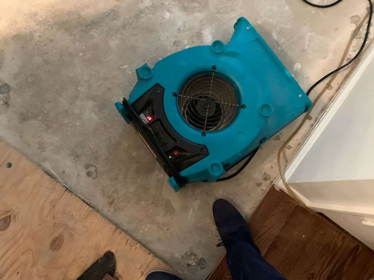 Air mover drying subfloor during Commercial Water Damage Restoration in Northport